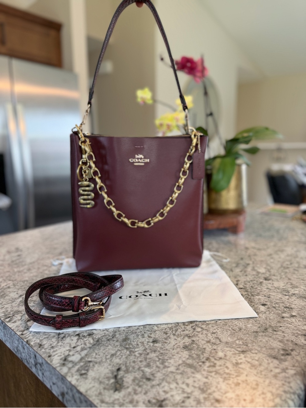 Coach Mollie Bucket (Style CC754) Wine and Python